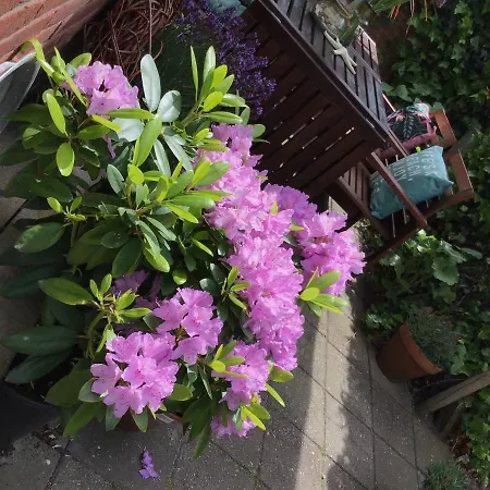 Сasa de vacaciones Egmond Aan Zee Vakantiehuisje *