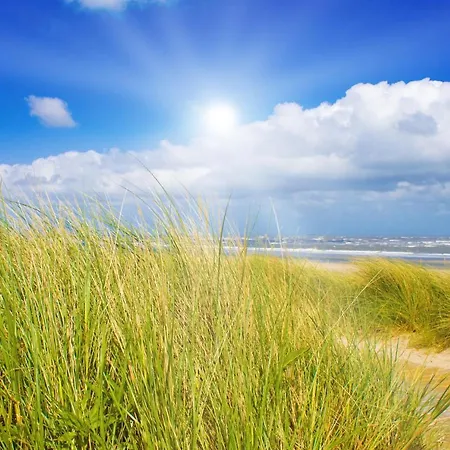 Egmond Aan Zee Vakantiehuisje * 海边的艾格蒙特