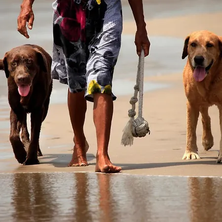 Dom wakacyjny Egmond Aan Zee Vakantiehuisje *