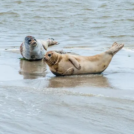 Egmond Aan Zee Vakantiehuisje