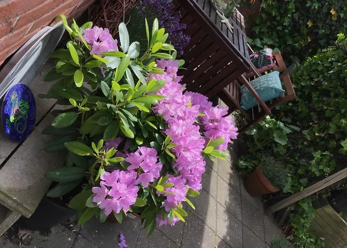 בית נופש Egmond Aan Zee Vakantiehuisje *