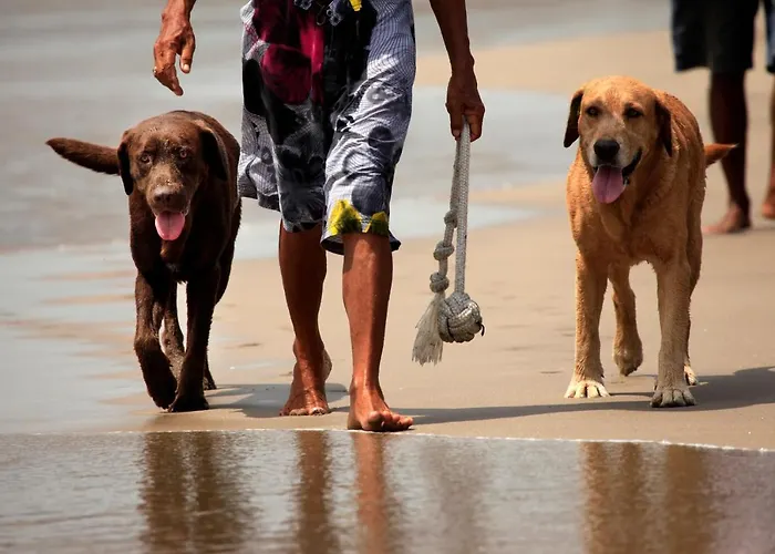 בית נופש Egmond Aan Zee Vakantiehuisje *