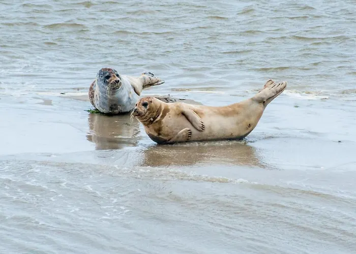 Egmond Aan Zee Vakantiehuisje