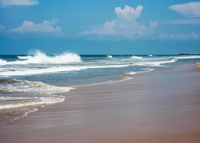Egmond Aan Zee Vakantiehuisje