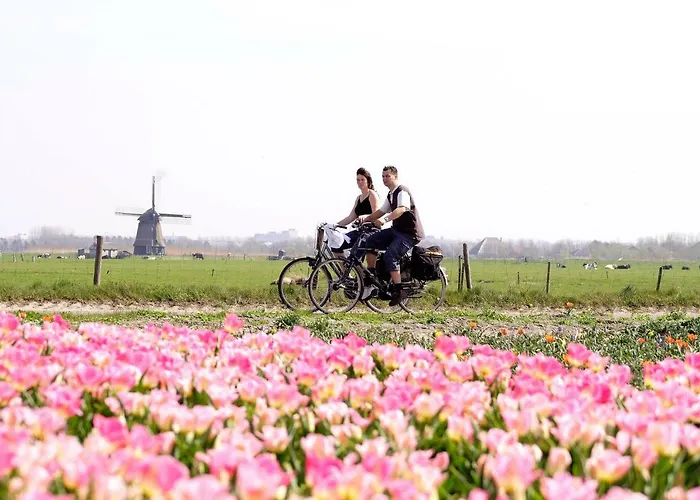 Egmond Aan Zee Vakantiehuisje * 海边的艾格蒙特