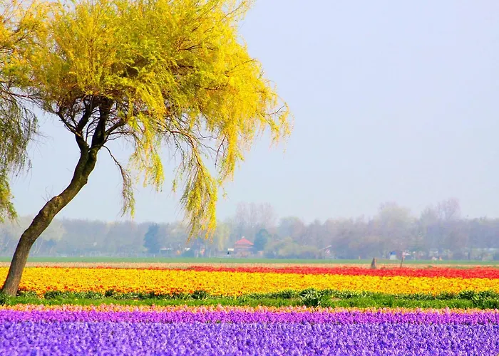度假居 Egmond Aan Zee Vakantiehuisje *
